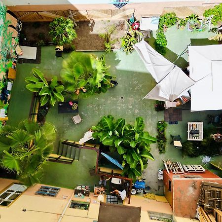 Jungle House Hostel Las Palmas de Gran Canaria Luaran gambar