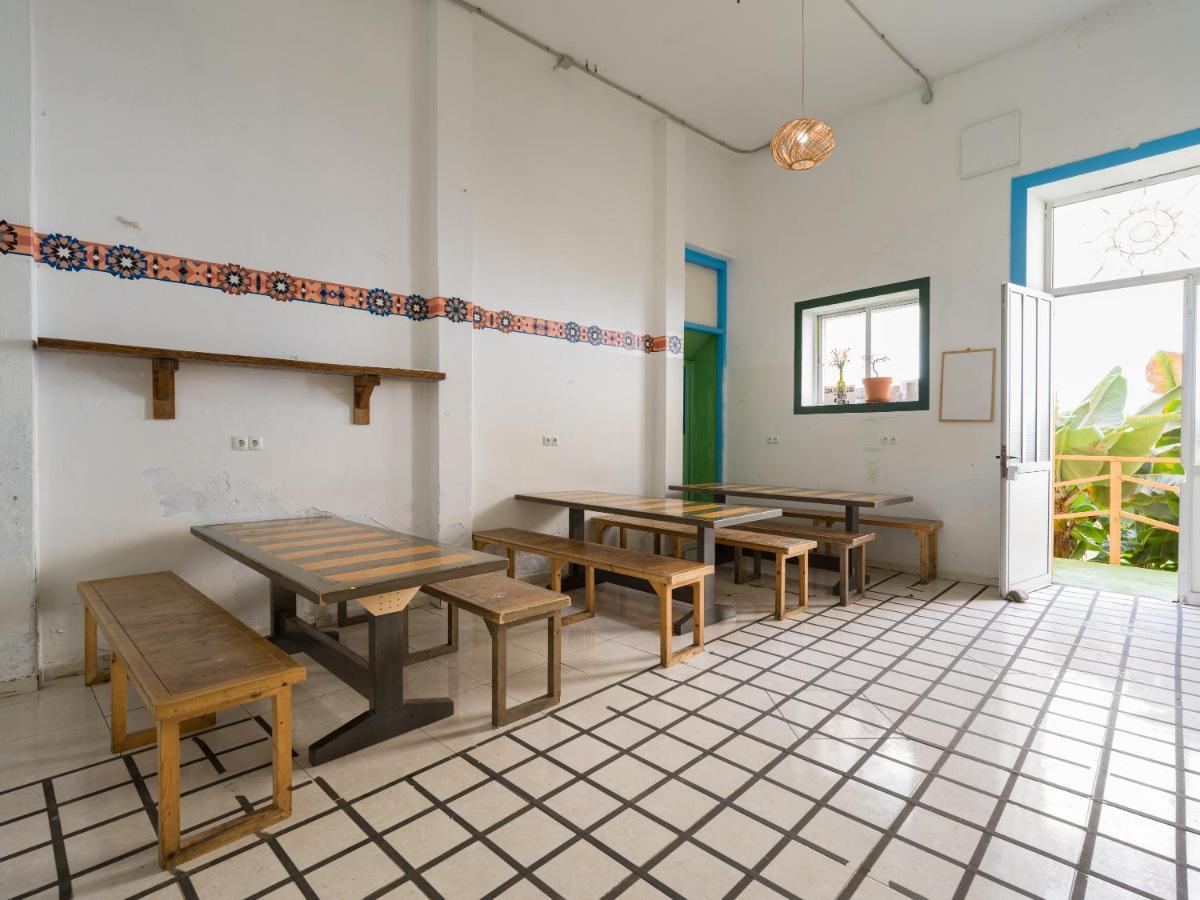 Jungle House Hostel Las Palmas de Gran Canaria Luaran gambar